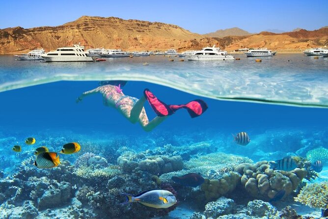 Snorkeling Day at White Island & Ras Mohammed - Sharm Elsheikh - Exploring Ras Mohammed