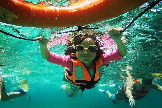 Snorkeling Guided Activity in Puerto Morelos Mexico - Meeting and Accessibility