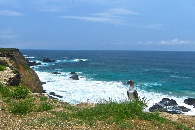 Snorkeling Tour and Whales Watching - Machalilla National Park - Meeting and Arrival