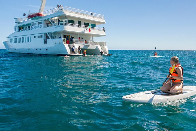Snorkeling Tour in Cabo San Lucas - Location and Provider