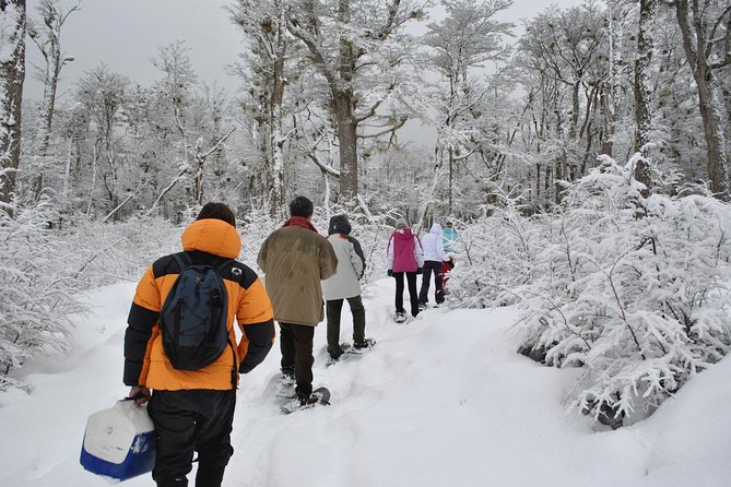 Snow Day Adventure: Hike & Moto Ski at Llanos Del Castor - Exploring Llanos Del Castor