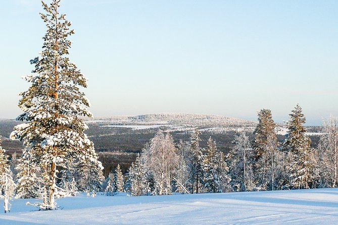 Snowmobile Safari in the Forest - Winter Adventure Gear and Attire