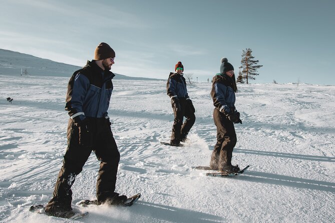 Snowshoe Fun - Booking and Availability