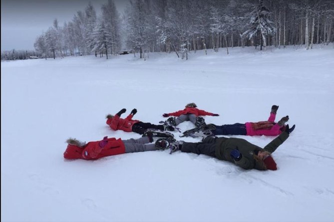 Snowshoe Tour at Chena Lakes - Spotting Wildlife in the Snow