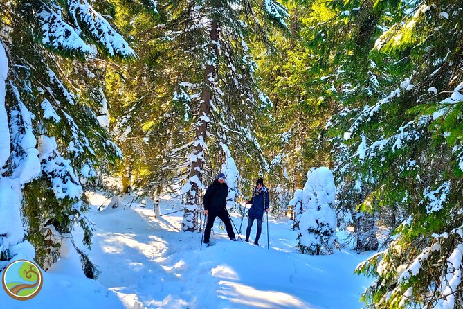 Snowshoeing Fun Tour From Cluj Napoca - Cancellation Policy
