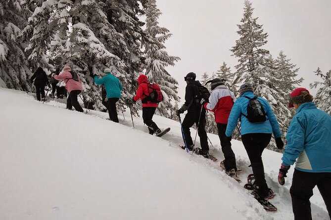 Snowshoeing in Chamonix, With a Private Guide - Whats Included and Excluded