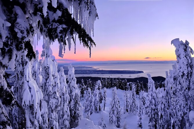 Snowshoeing In Vancouvers Winter Wonderland - Inclusions