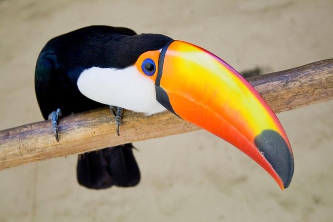 Soberania National Park Day Trip From Panama City - Itinerary and Trail Experience