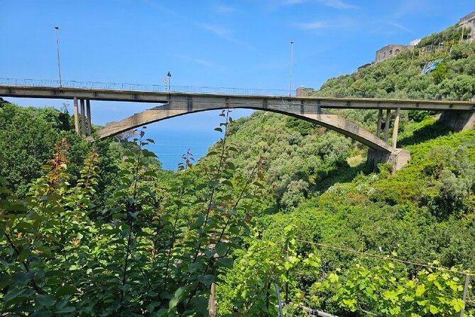 Sorrento: Gastronomic Tour by E-Bike and Visit to Acetaia - Meeting and Pickup Details