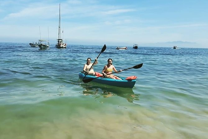 South Shore Private Sightseeing Cruise in Puerto Vallarta - Inclusions and Amenities