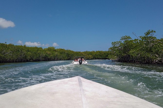 Speedboat and Snorkel Tour: Single Passenger Boat - Inclusions