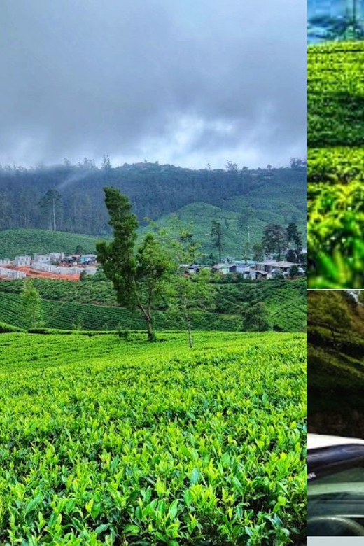 Sri Lanka: Discovery Tour to South Coast to Culture Capital - Itinerary Highlights