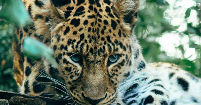 Sri Lanka Grand Tour 14 Days - Itinerary Highlights