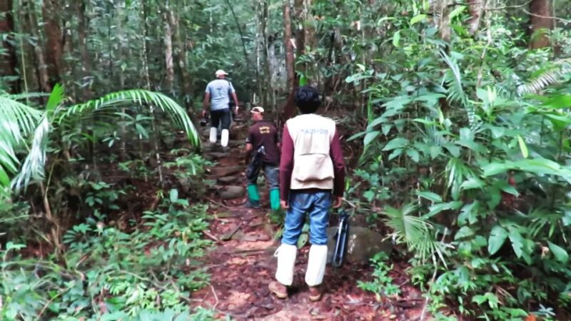 Sri Lanka: South Coast Tour Sinharaja, Yala, Bentota, Galle - Itinerary Details