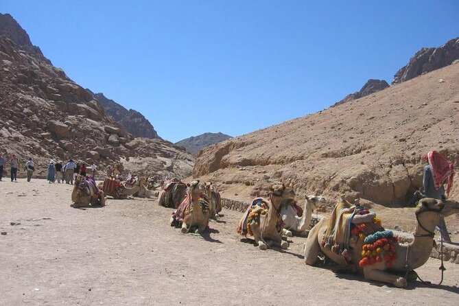 St Catherine Monastery Small Group Tour From Dahab - Inclusions and Exclusions