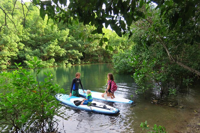 Stand Up Paddle Adventure in Guadeloupe - Inclusions and Requirements