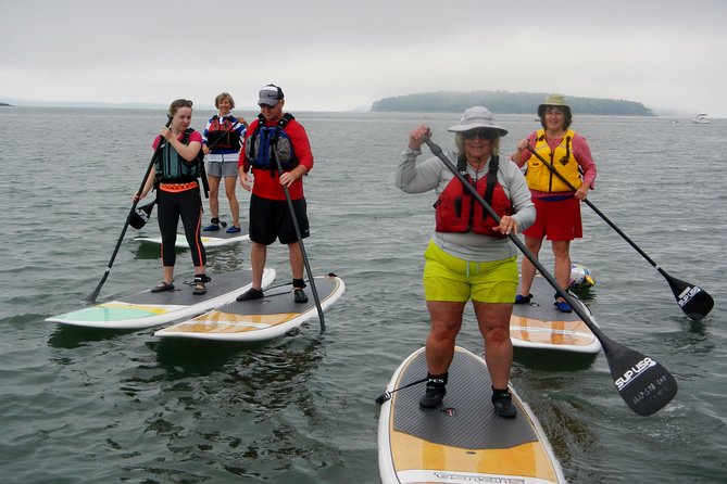 Stand up Paddleboard Tour With Complimentary Oyster Tasting - Meeting Point and Logistics