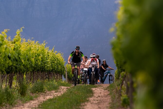 Stellenbosch Half Day Winelands Cycle Tour - Itinerary Highlights