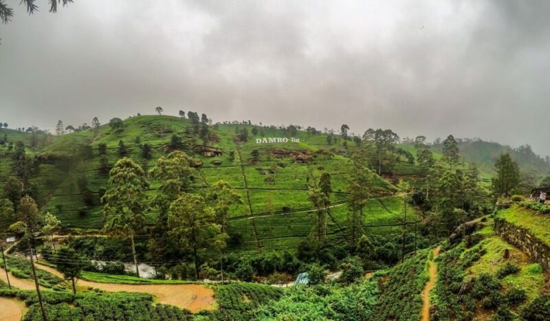 STUNNING SRI LANKA 15 DAYS & 14 NIGHTS Tour - Key Highlights and Activities