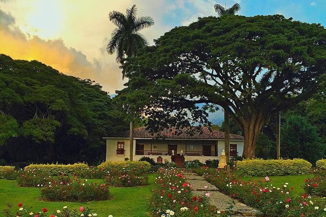Sugar Cane Hacienda El Paraiso & Nature Day Tour - Taking in Countryside Charm