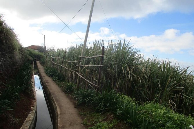 Sugar Route - Levada Nova Review - Tour Schedule