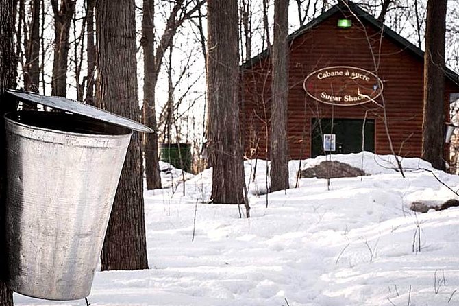 Sugar Shack (Feb to May) Maple Syrup Private Day Tour With Lunch From Montreal - Itinerary and Inclusions