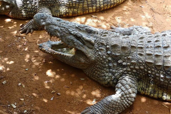 Sun City - Activities and Attractions