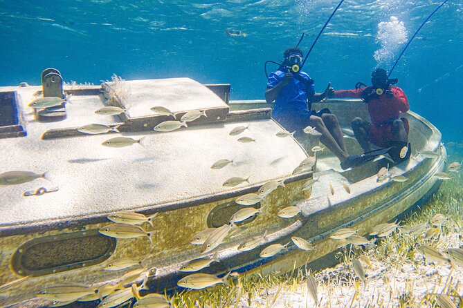 Suncay SNUBA Diving Adventure With Lunch - Customer Feedback