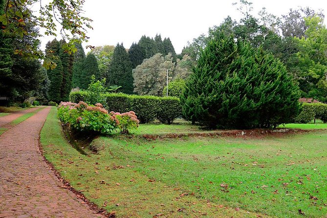 Sunday Market and Gardens Tour - Market Experience