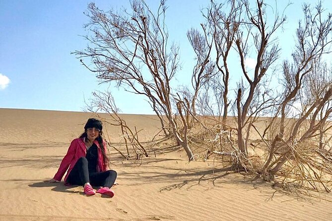 Sundowner Dune Safari With Dinner - Tanura Show and Belly Dance