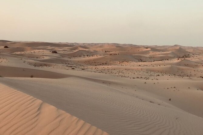 Sunrise Desert Safari With Quad Bike and Sandboarding, - Meeting and Pickup Information