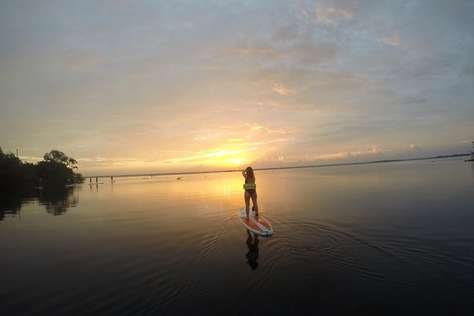 Sunrise Tour (Stand Up Paddle or Kayak) - Inclusions
