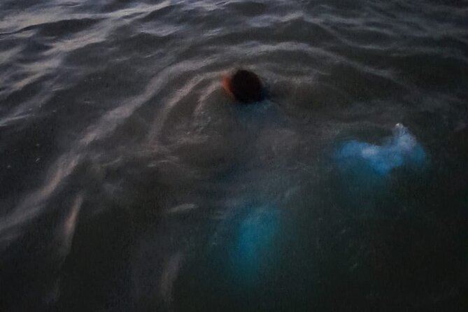 Sunset Boat Ride in the Falmouth Luminous Lagoon Swim and Dinner - Luminous Lagoon Experience
