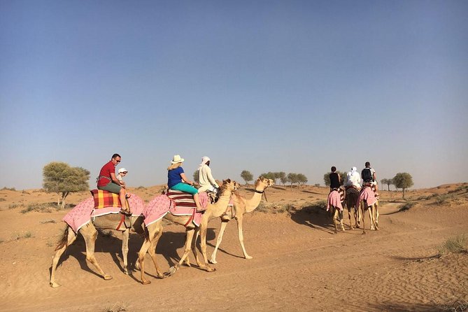 Sunset Camel Ride Including BBQ Dinner From Ras Al Khaimah - Dinner and Entertainment