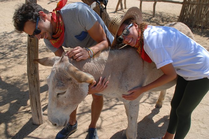 Sunset Pacific Donkey Hiking Tour - Meeting and Pickup Details