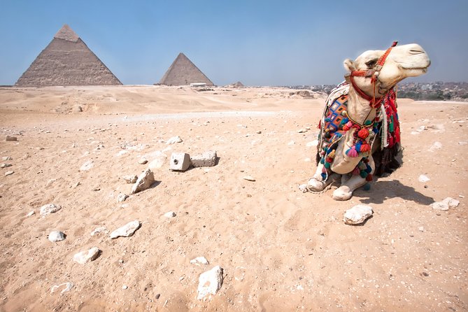 Sunset Safari Tour By Horse or Camel Ride - Camel or Horse Riding Experience