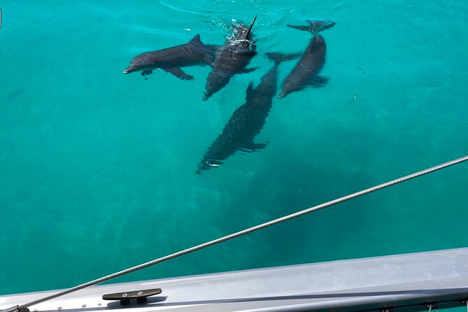 Sunset Sail & Dolphin Search With Honest Eco - Amenities and Inclusions