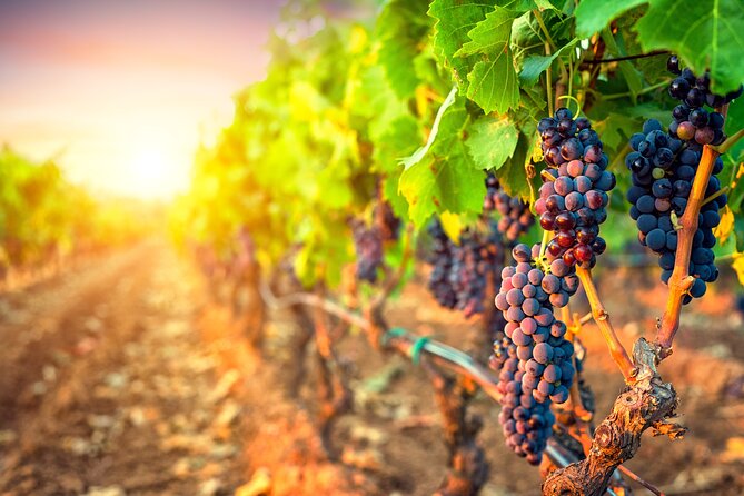 Sunset Sip Wine Tour - Pickup and Meeting Details