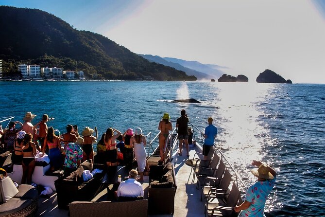 Sunsets and Whales Mega Yachts ALL INCLUSIVE - Inclusions and Amenities