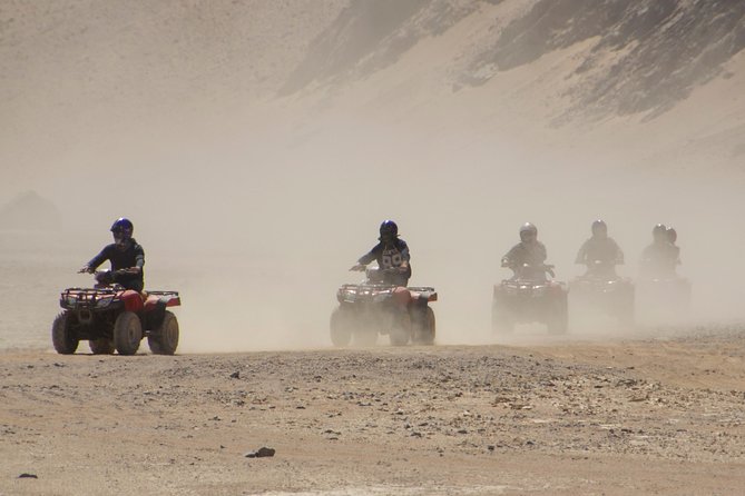 Super Safari By ATV Quad and Sunset, Camel Ride Bedouin Dinner - Marsa Allam - Itinerary Highlights