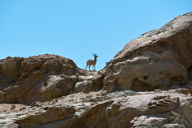 Swakop River Valley & Spitzkoppe Full Day 4x4 Tour From Walvis Bay - Meeting Point Information