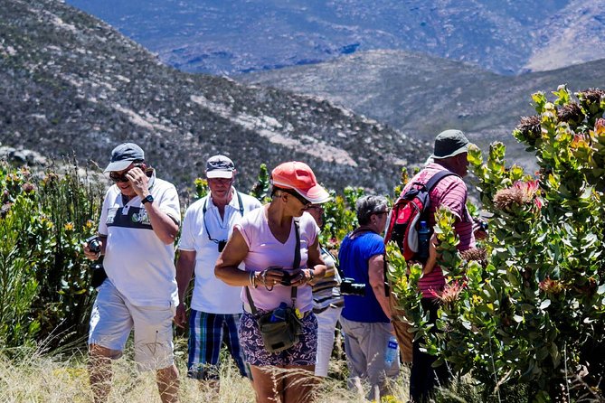 Swartberg Pass Tour Including Traditional Karoo Lunch - Meeting Location