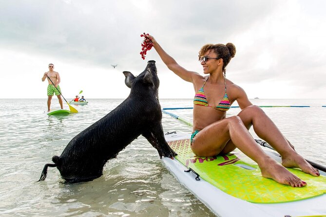 Swimming Pigs of Rose Island & Sea Turtle Viewing Group Tour - Meeting Point and Transportation