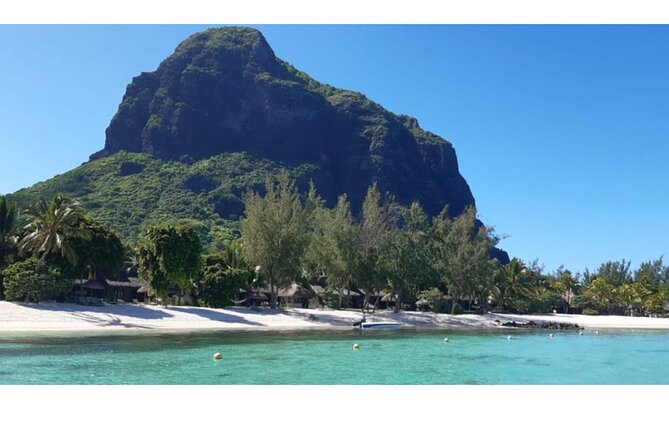 Swimming With Dolphins, Turtles, Whales / Seafood Lunch - Highlights of the Adventure