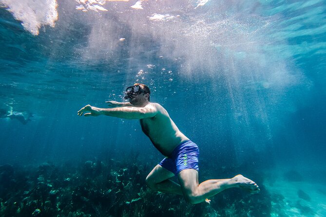 Swimming With Turtles, Snorkeling Reef and Beach Combo Tour - Included Amenities