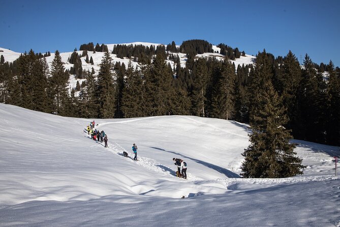 Swiss Ski Experience in Engelberg - Skiing Equipment and Ski Pass
