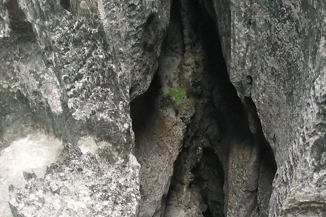 Tailormade 15 Days Adventure From Antananarivo, Madagascar - Inclusions and Amenities