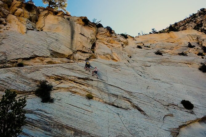 Tallest in Utah via Ferrata & Rappelling (4 Hr) - Adventure Highlights