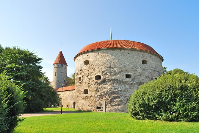 Tallinn Highlights and Marzipan Painting Masterclass - Panoramic Views of Tallinn