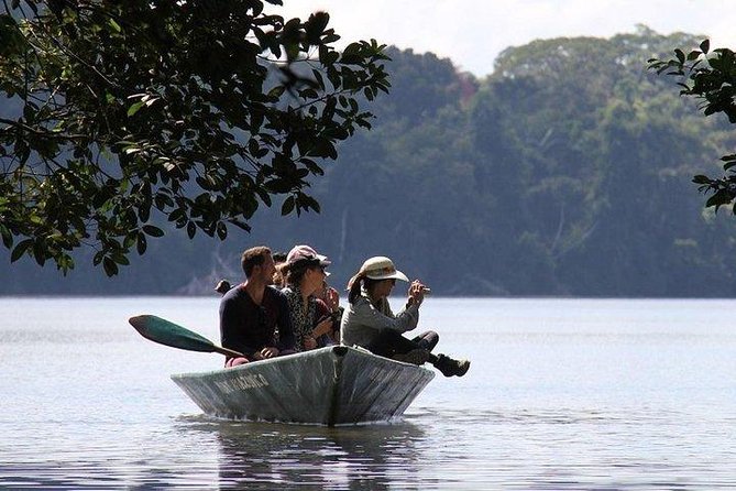 Tambopata (Puerto Maldonado) 4 Days - Exploring the Tambopata River